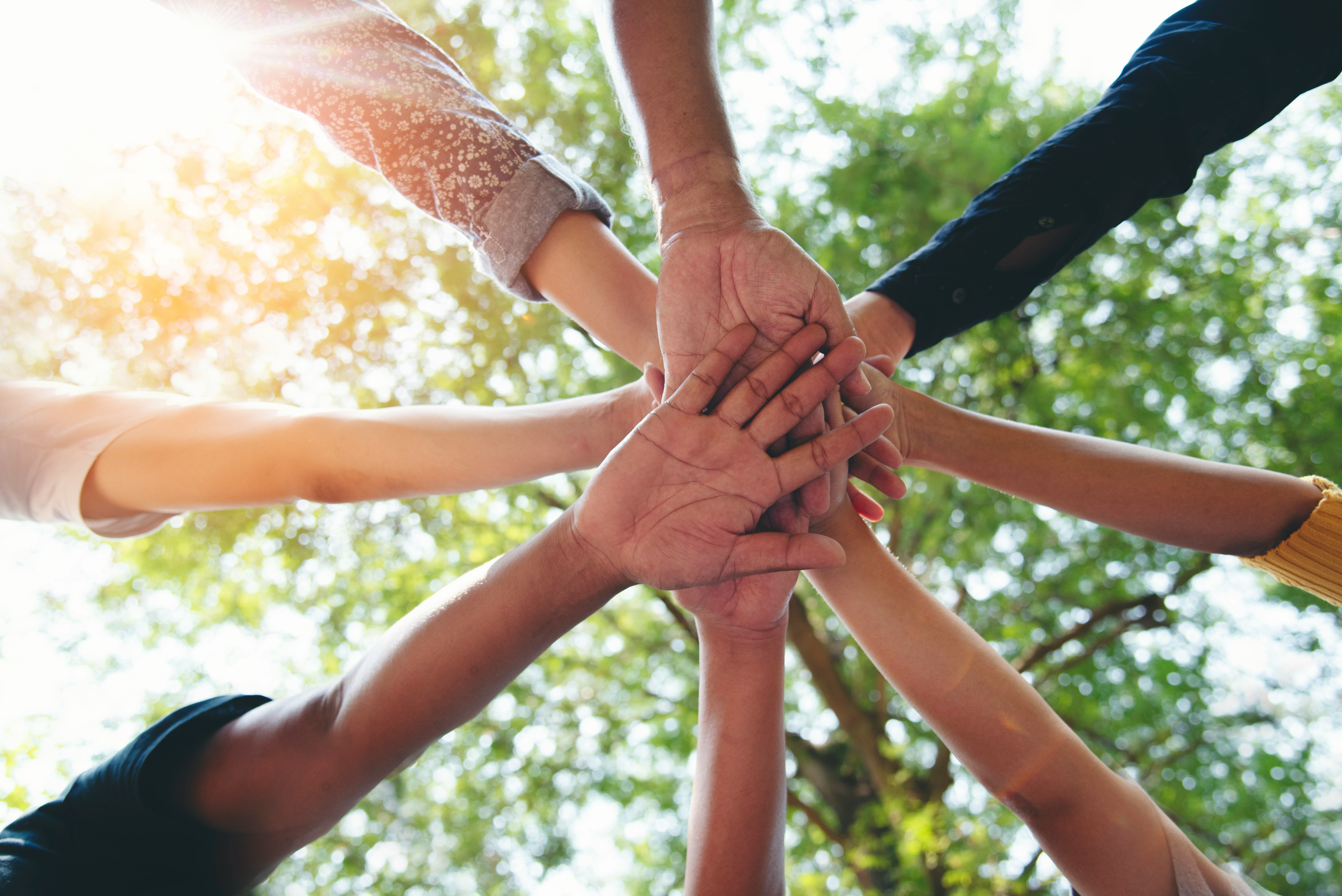 Un groupe d'étudiants engagés et souriants